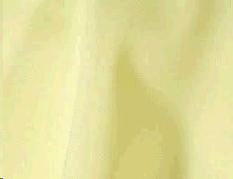 Rental store for NAPKIN, MAIZE in Roanoke VA