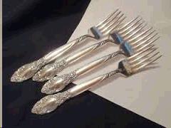Rental store for FORK, DINNER NEW      SILV in Roanoke VA