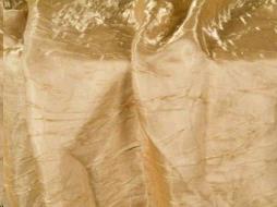 Rental store for TBLC, IRIDESCENT BEIGE 120 in Roanoke VA