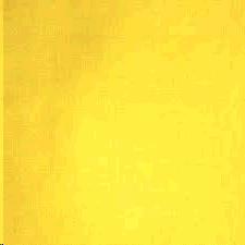 Rental store for NAPKIN, YELLOW in Roanoke VA