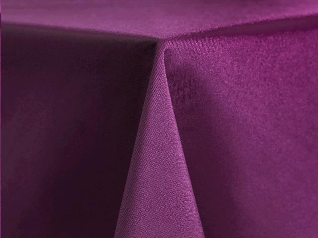 Rental store for RUNNER, EGGPLANT 12 X120 in Roanoke VA