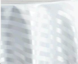 Rental store for TBLC, WHITE 8  TO FLOOR STRIPE in Roanoke VA