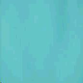 Rental store for TBLC, TURQUOISE 90 in Roanoke VA