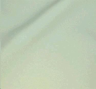 Rental store for NAPKIN, MINT in Roanoke VA