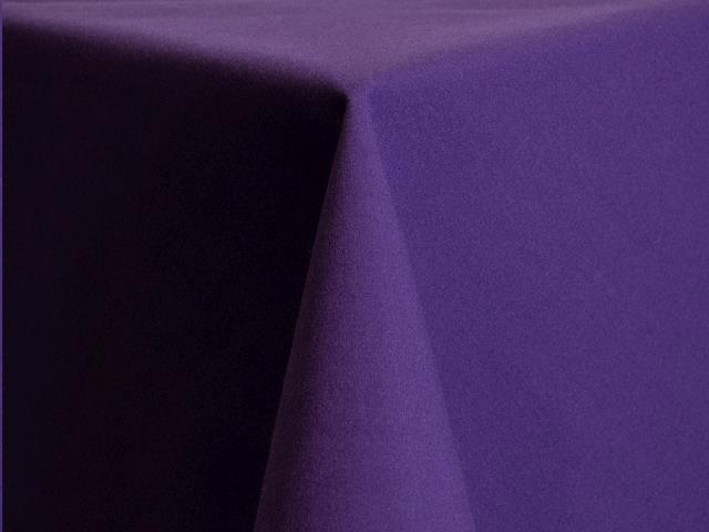 Rental store for RUNNER, PURPLE 12 X120 in Roanoke VA