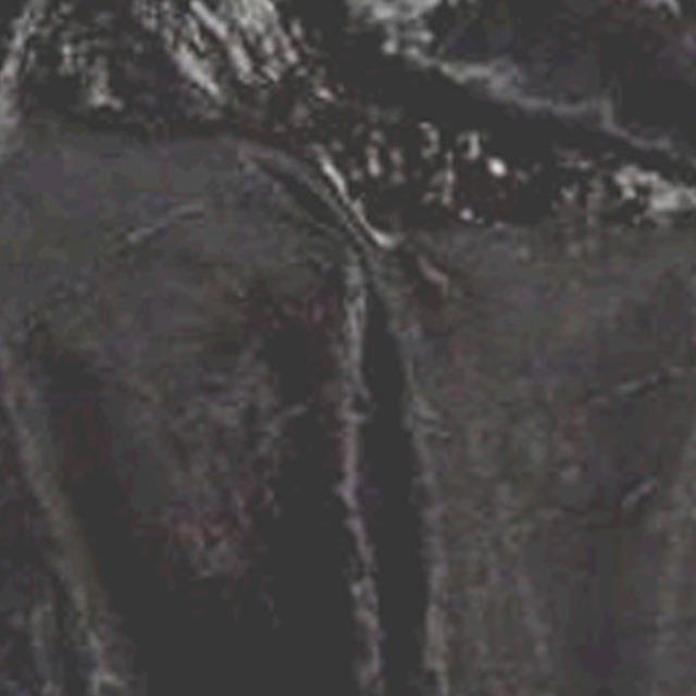 Rental store for TBLC, IRIDESCENT BLACK 72X72 in Roanoke VA