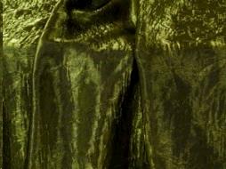 Rental store for TBLC, IRIDESCENT MOSS 72X72 in Roanoke VA