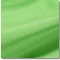 Rental store for NAPKIN, GREEN LIGHT in Roanoke VA