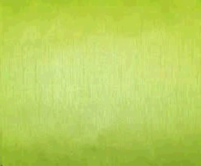 Rental store for TIE, APPLE GREEN SOLID NOVA CHAIR in Roanoke VA