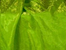 Rental store for TBLC, IRID. LIME 72X72 in Roanoke VA