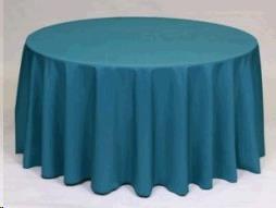 Rental store for TBLC, TEAL 8  LAP in Roanoke VA