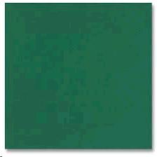 Rental store for NAPKIN, HUNTER GREEN in Roanoke VA