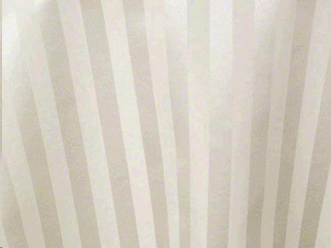 Rental store for TBLC, IVORY STRIPE 6  TO FL in Roanoke VA