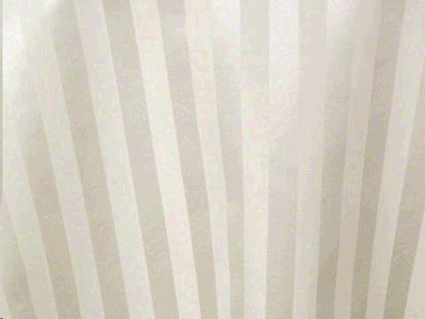 Rental store for NAPKIN, IVORY STRIPE in Roanoke VA