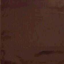 Rental store for NAPKIN, CHOCOLATE GR in Roanoke VA