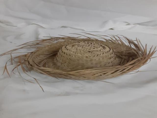 Rental store for HAT, STRAW HAWAIIAN in Roanoke VA