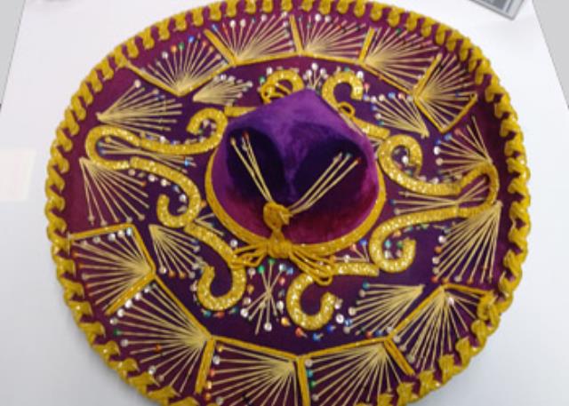 Rental store for HAT, SOMBRERO, PURPLE in Roanoke VA