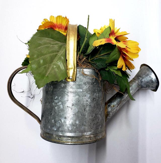 Rental store for WATERING CAN, SMALL in Roanoke VA