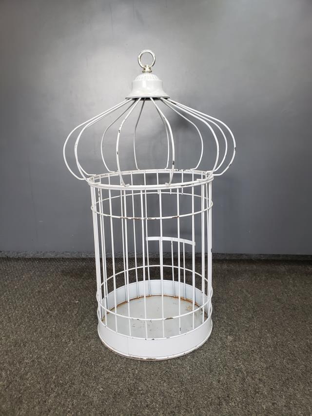 Rental store for CAGE, WHITE METAL in Roanoke VA
