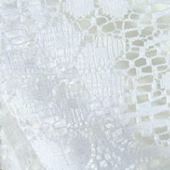 Rental store for LACE LINENS in Roanoke VA