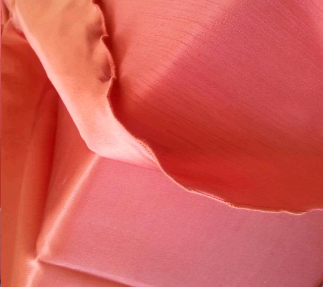 Rental store for TBLC, BURNT ORANGE MAJESTIC 8  TO FL in Roanoke VA