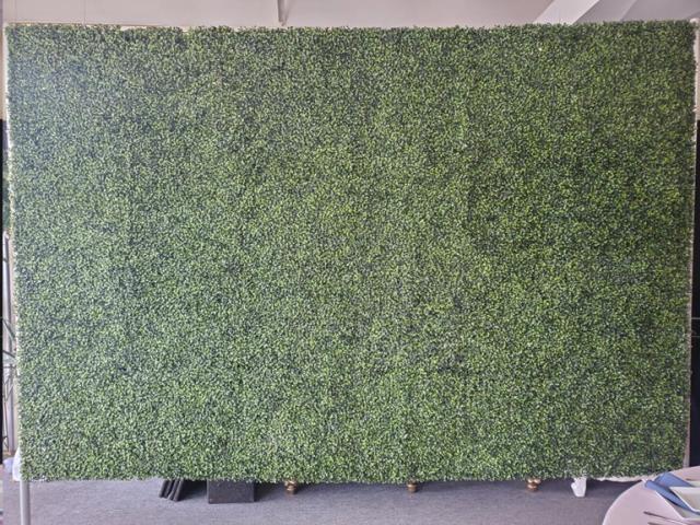 Rental store for BACKDROP, BOXTREE in Roanoke VA