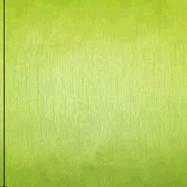 Rental store for NAPKIN, APPLE GREEN SOLID NOVA in Roanoke VA