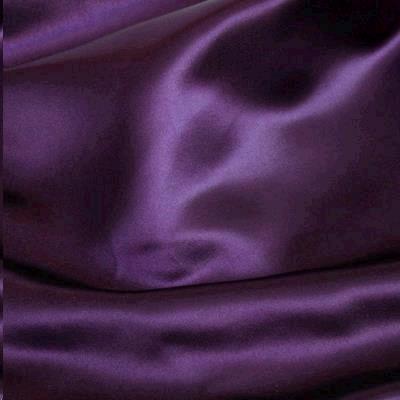 Rental store for NAPKIN, SATIN PLUM in Roanoke VA